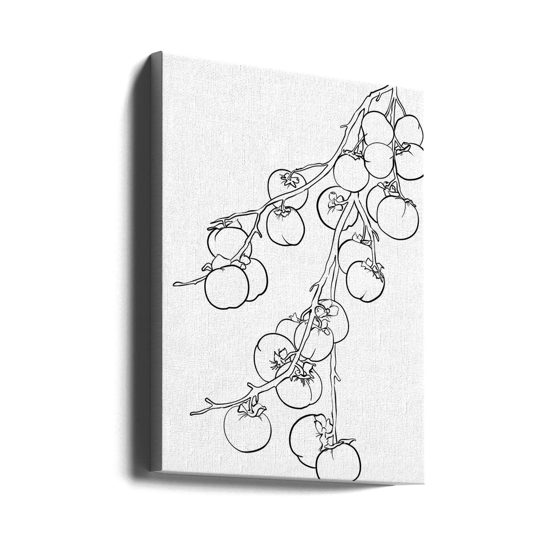 Branch of Persimmons by Rosana Laiz Blursbyai | Line Art Fruit Drawing, Large Canvas Wall Art Print | Artsy Earth