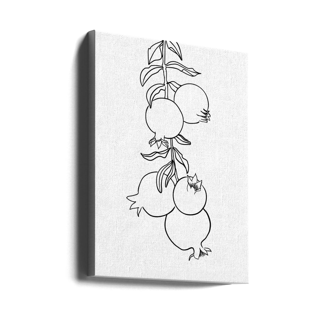 Branch of pomegranates by Rosana Laiz Blursbyai | Line Art Fruit Drawing, Large Canvas Wall Art Print | Artsy Earth