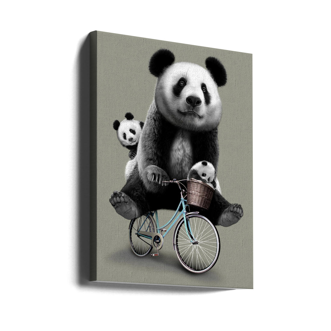 Panda Bicycle Fun by Adam Lawless | Cute Panda Portrait, Large Canvas Wall Art Print | Artsy Earth