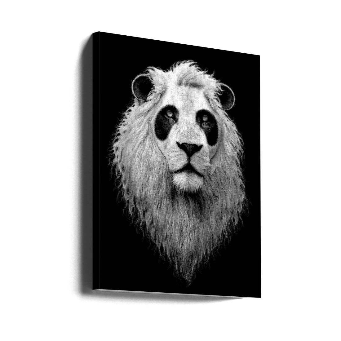 PandaLion by Adam Lawless | Painted Animal Portrait, Large Canvas Wall Art Print | Artsy Earth