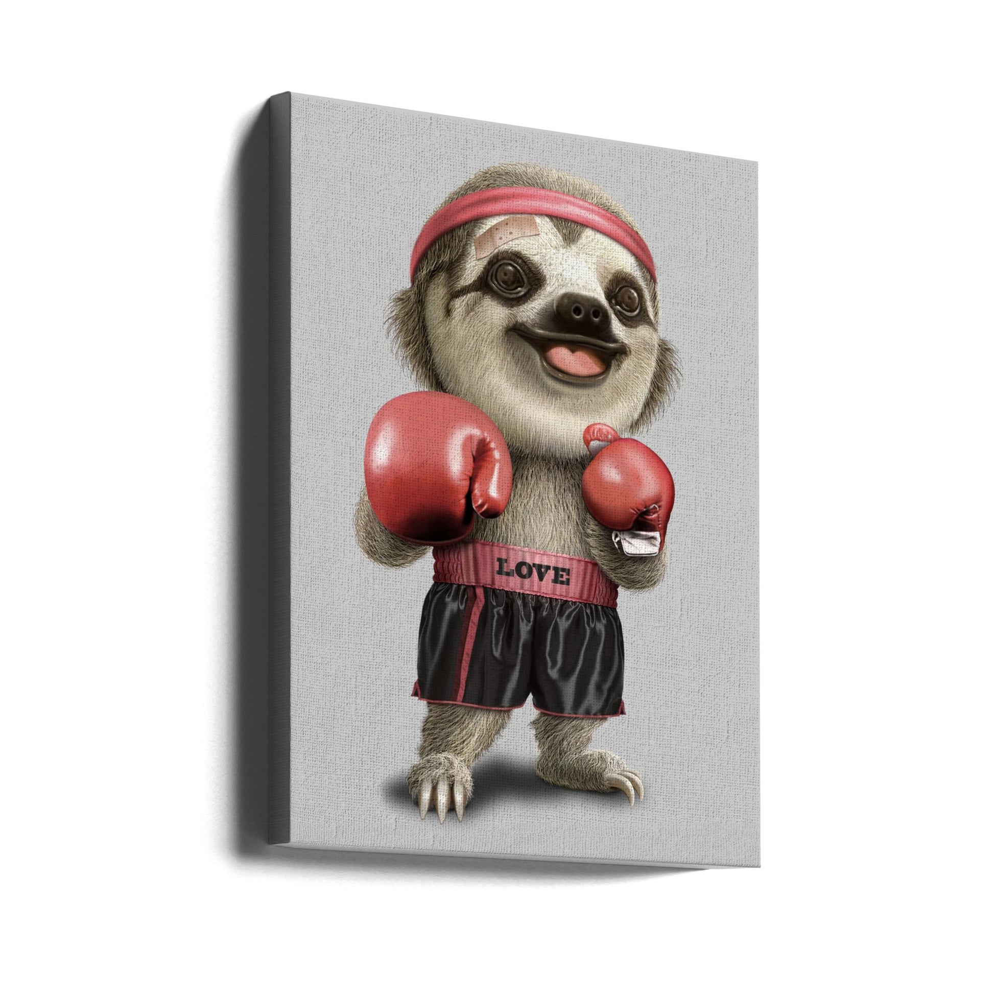 The Boxing Sloth by Adam Lawless | Funny Animal Portrait, Large Canvas Wall Art Print | Artsy Earth