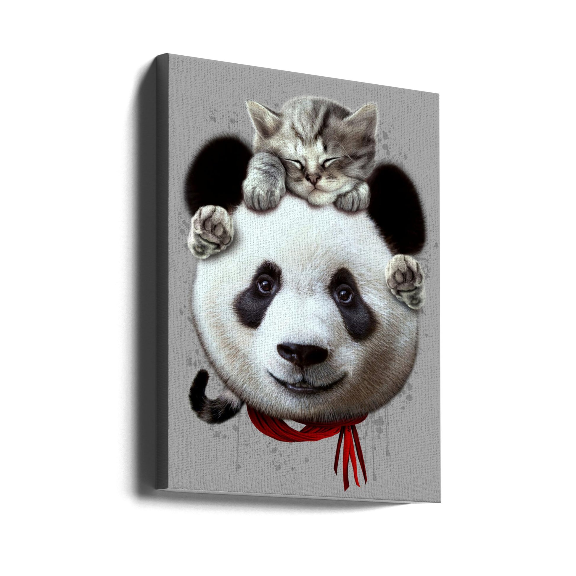 cat on panda bear by Adam Lawless | Cute Animal Portrait, Large Canvas Wall Art Print | Artsy Earth