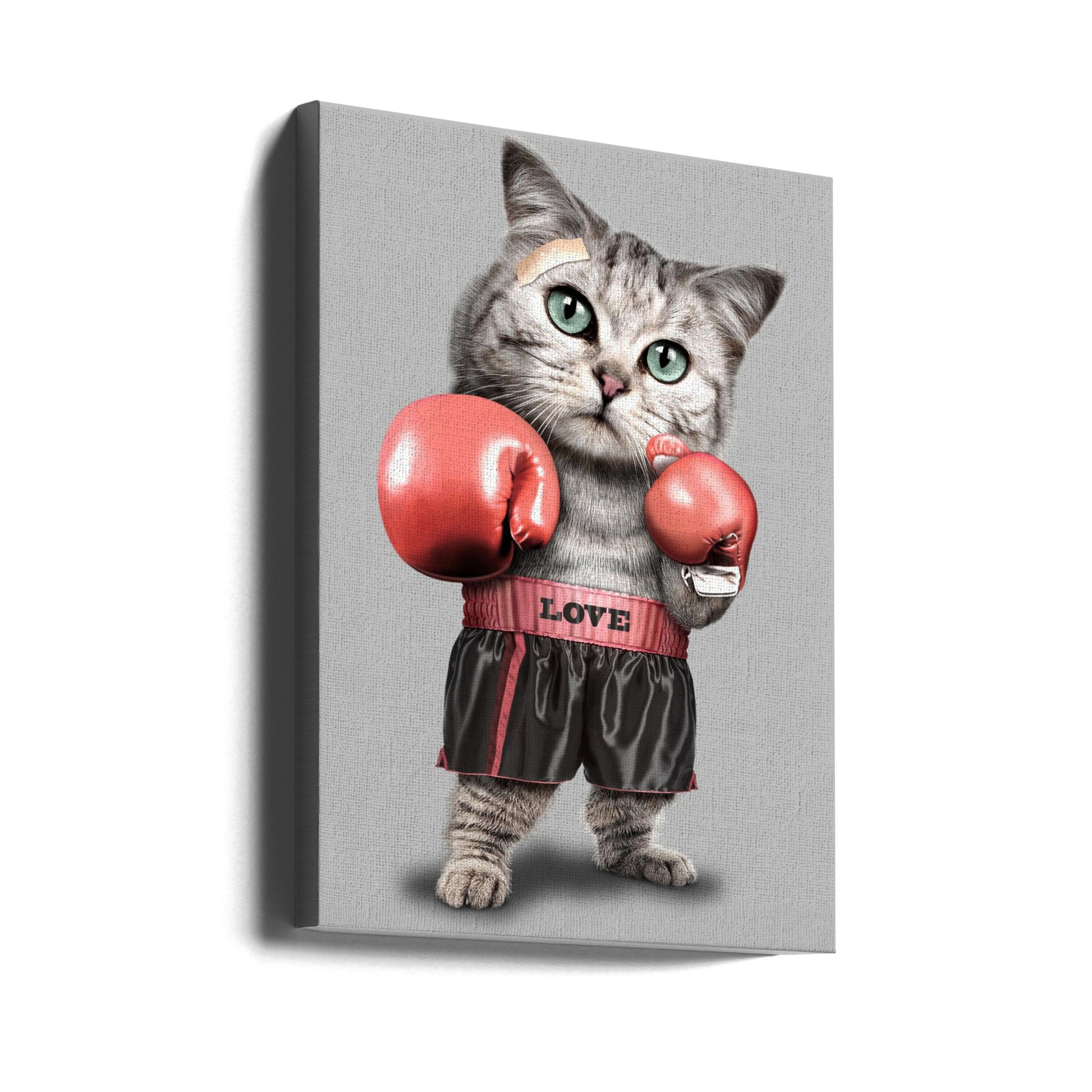 Boxing Cat by Adam Lawless | Funny Cat Fighter, Large Canvas Wall Art Print | Artsy Earth