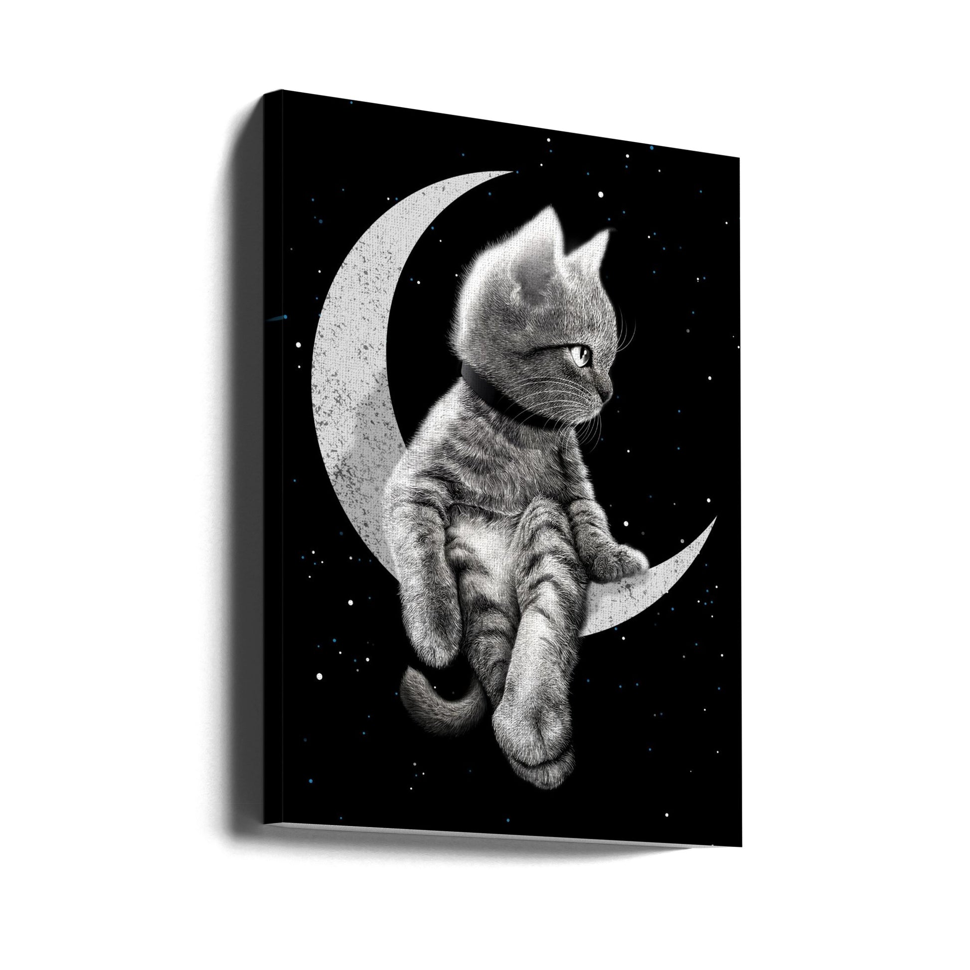 Cosmic Cat Dreams by Adam Lawless | Starry Night Cat, Large Canvas Wall Art Print | Artsy Earth