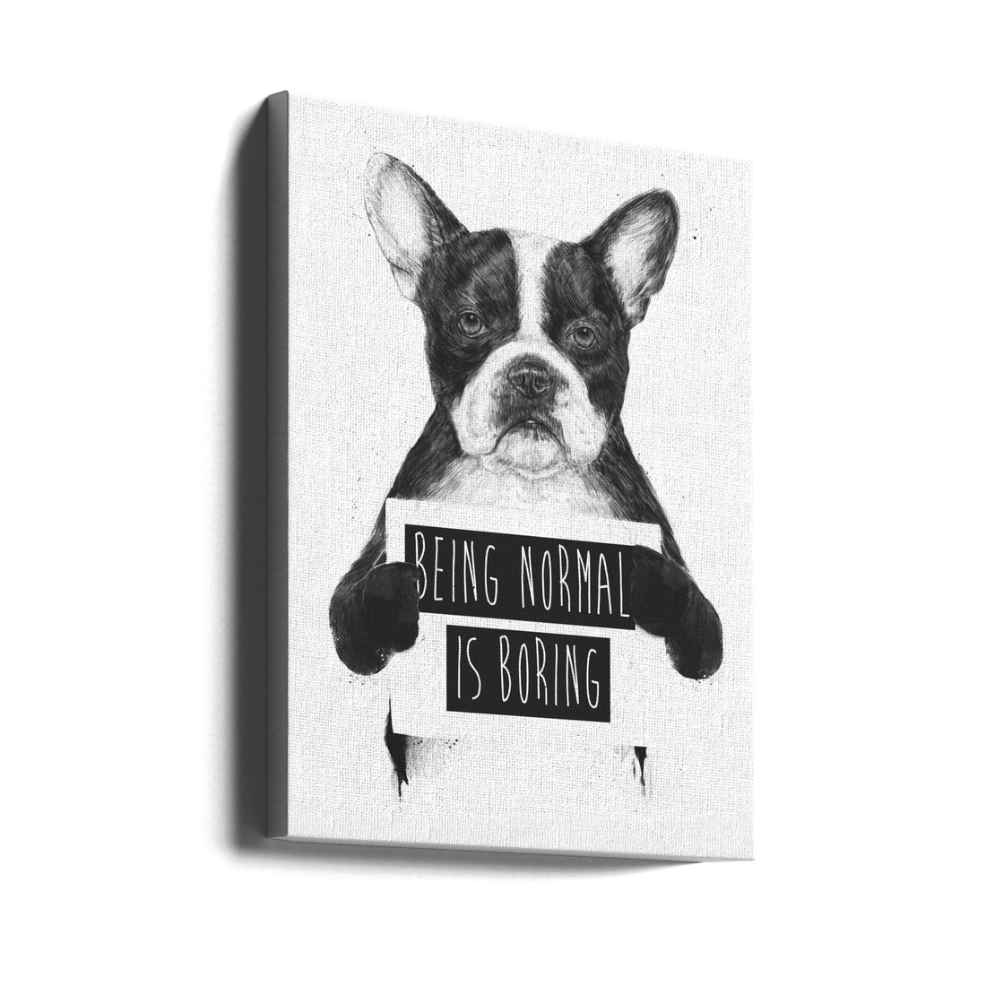 Being Normal Is Boring by Balazs Solti | Funny Dog Typography, Large Canvas Wall Art Print | Artsy Earth