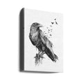 Born to be free by Balazs Solti | Bird Illustration Montage, Large Canvas Wall Art Print | Artsy Earth