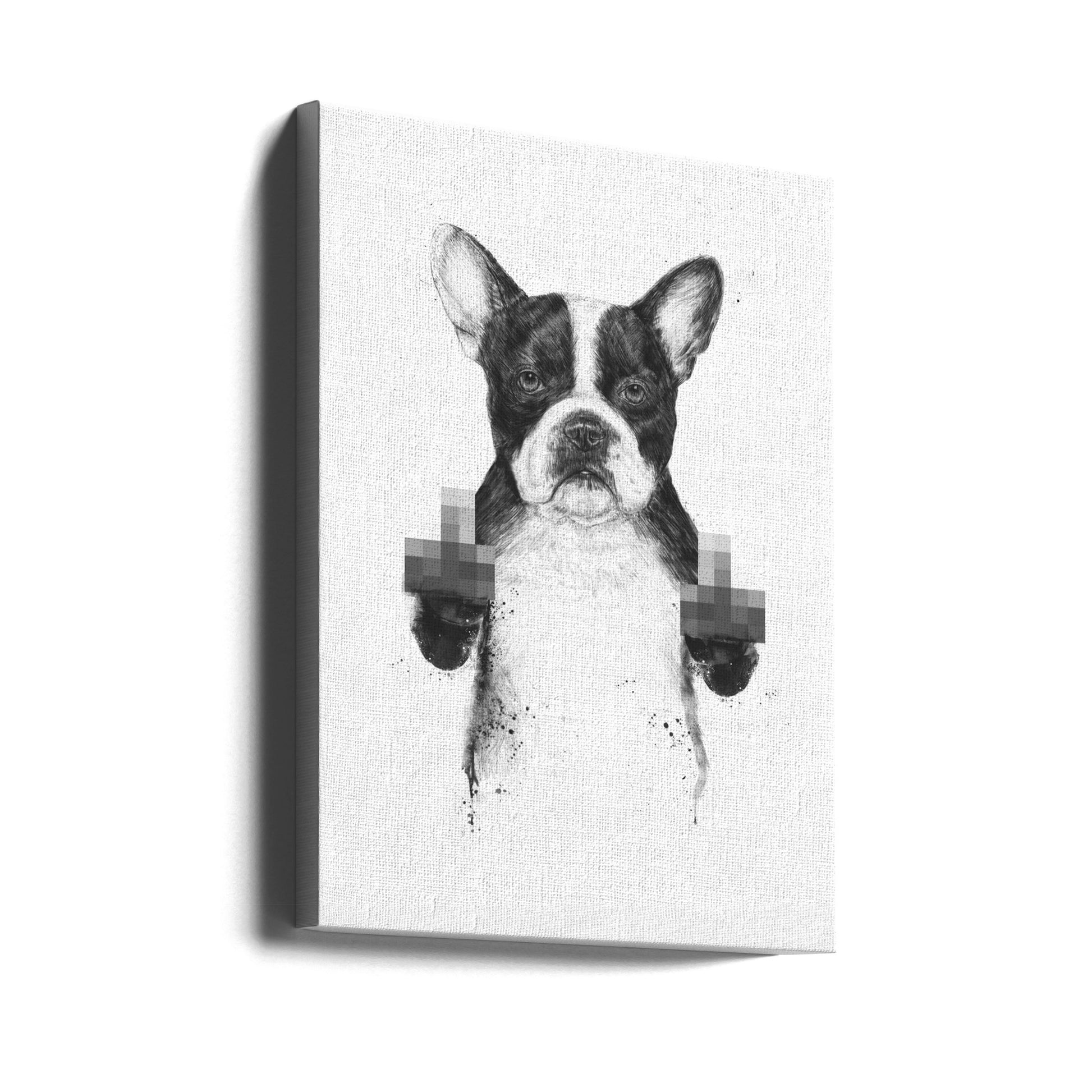 Censored Dog by Balazs Solti | Funny Dog Illustration, Large Canvas Wall Art Print | Artsy Earth