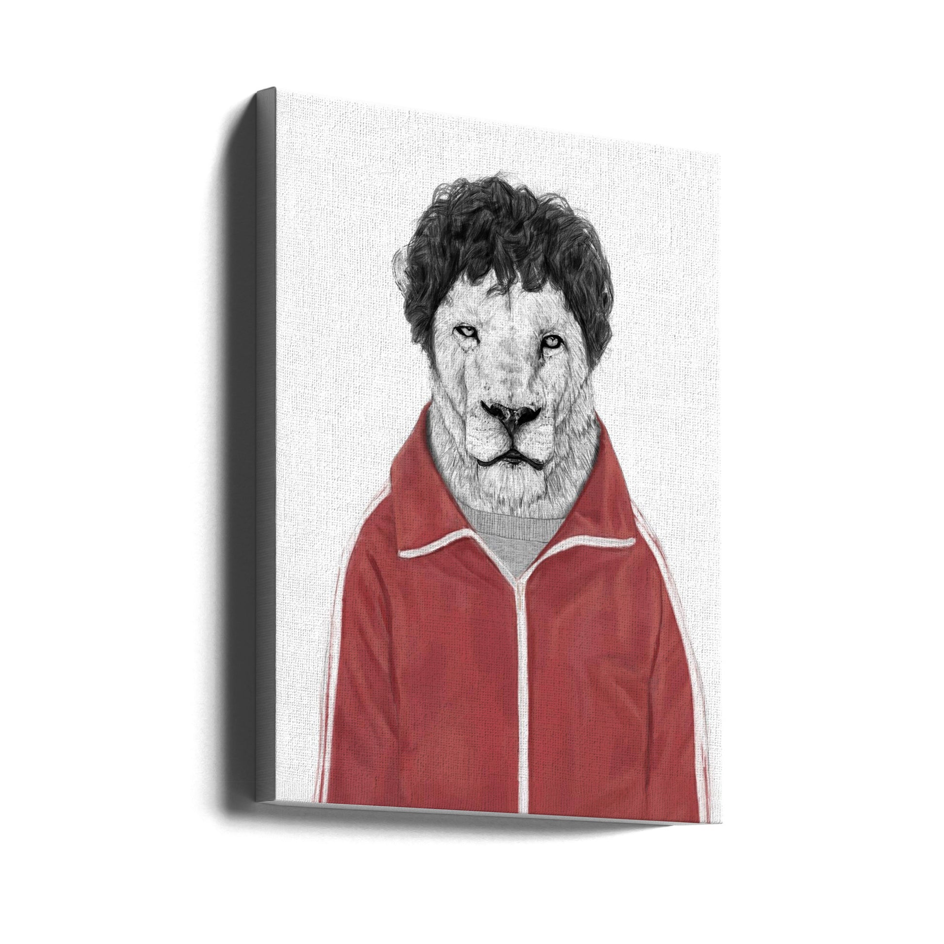 Funny Lion Sports by Balazs Solti | Animal Illustration Drawing, Large Canvas Wall Art Print | Artsy Earth