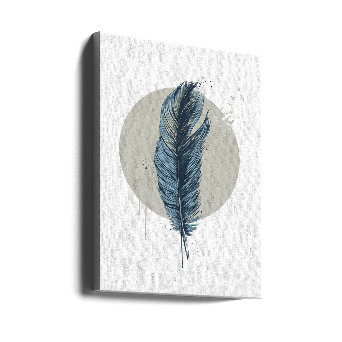 Feather in a Circle by Balazs Solti | Abstract Bird Illustration, Large Canvas Wall Art Print | Artsy Earth