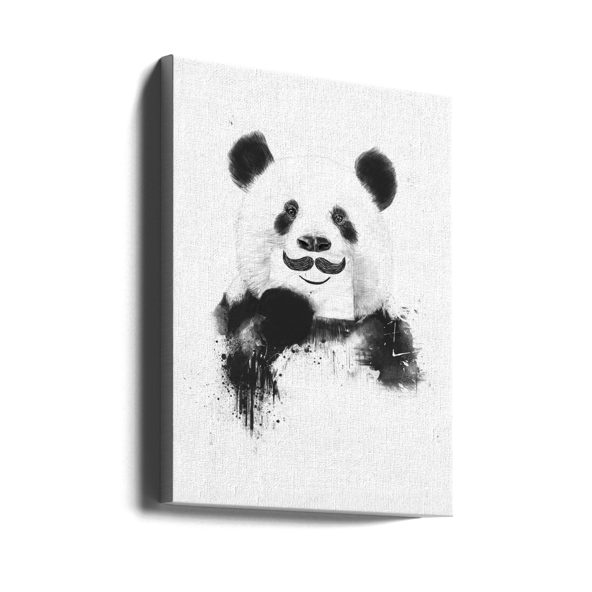 Funny Panda by Balazs Solti | Cute Animal Portrait, Large Canvas Wall Art Print | Artsy Earth