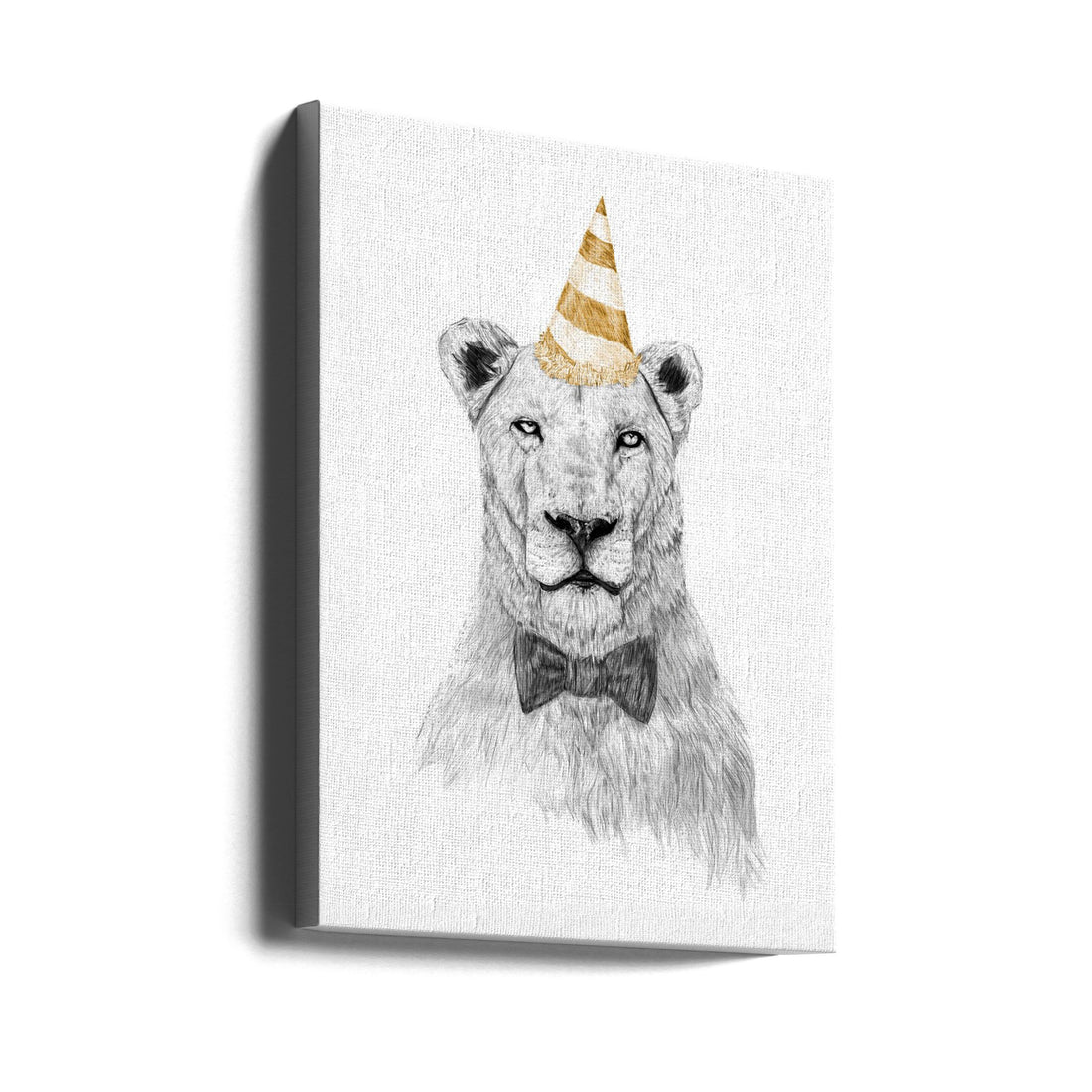 Get the party started by Balazs Solti | Funny Lion Celebration, Large Canvas Wall Art Print | Artsy Earth