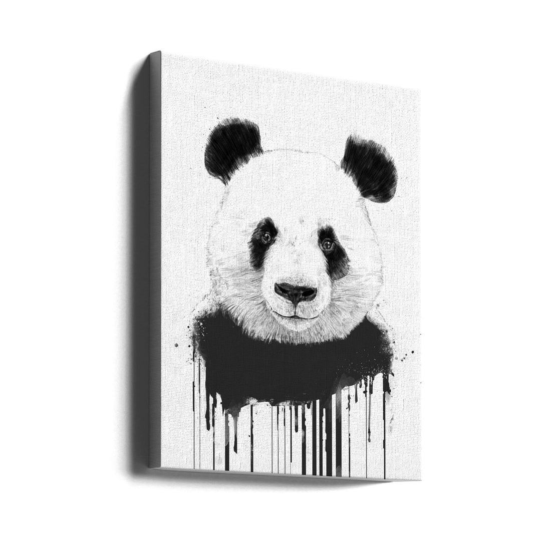 Graffiti Panda by Balazs Solti | Black White Animal Portrait, Large Canvas Wall Art Print | Artsy Earth