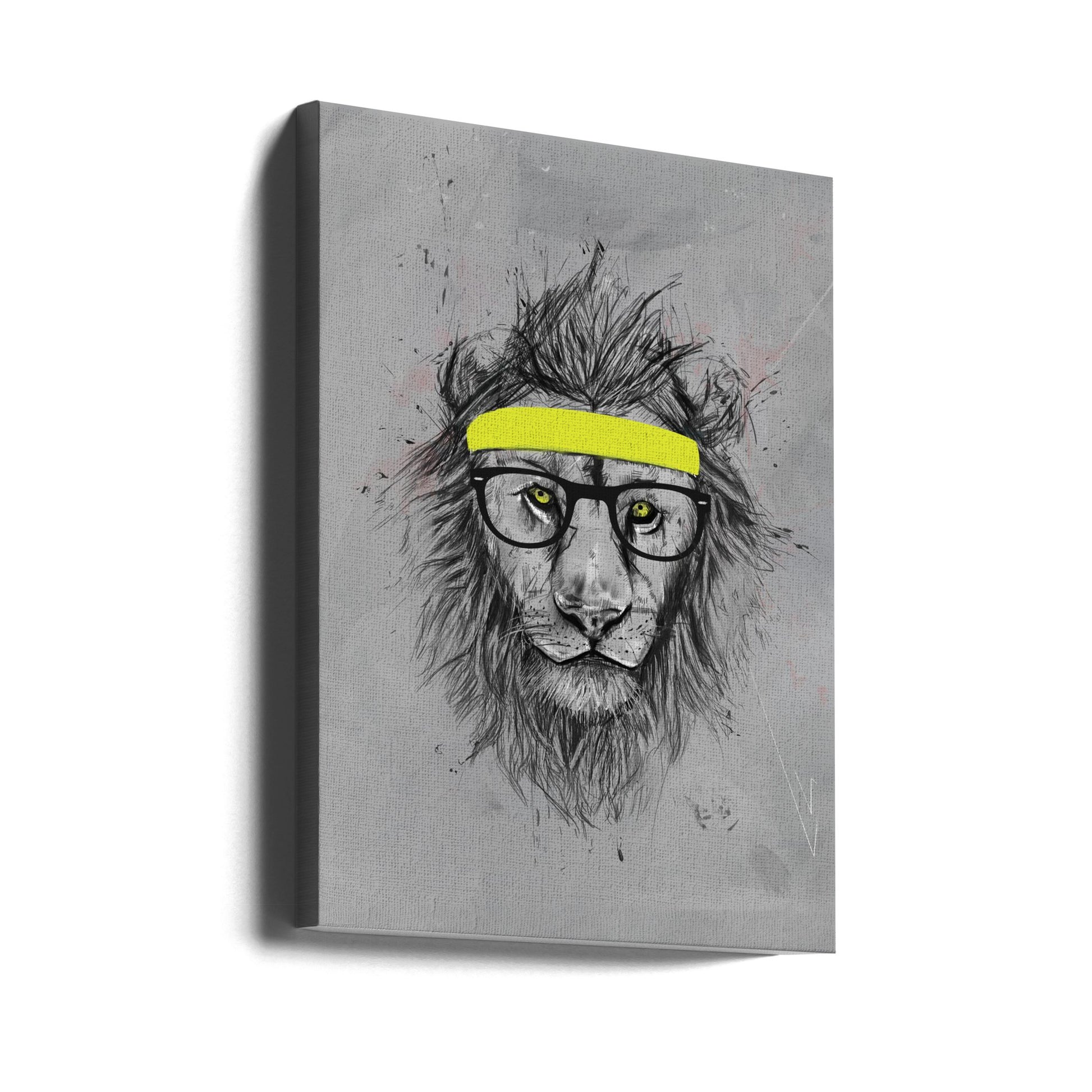 Hipster Lion by Balazs Solti | Funny Animal Illustration, Large Canvas Wall Art Print | Artsy Earth