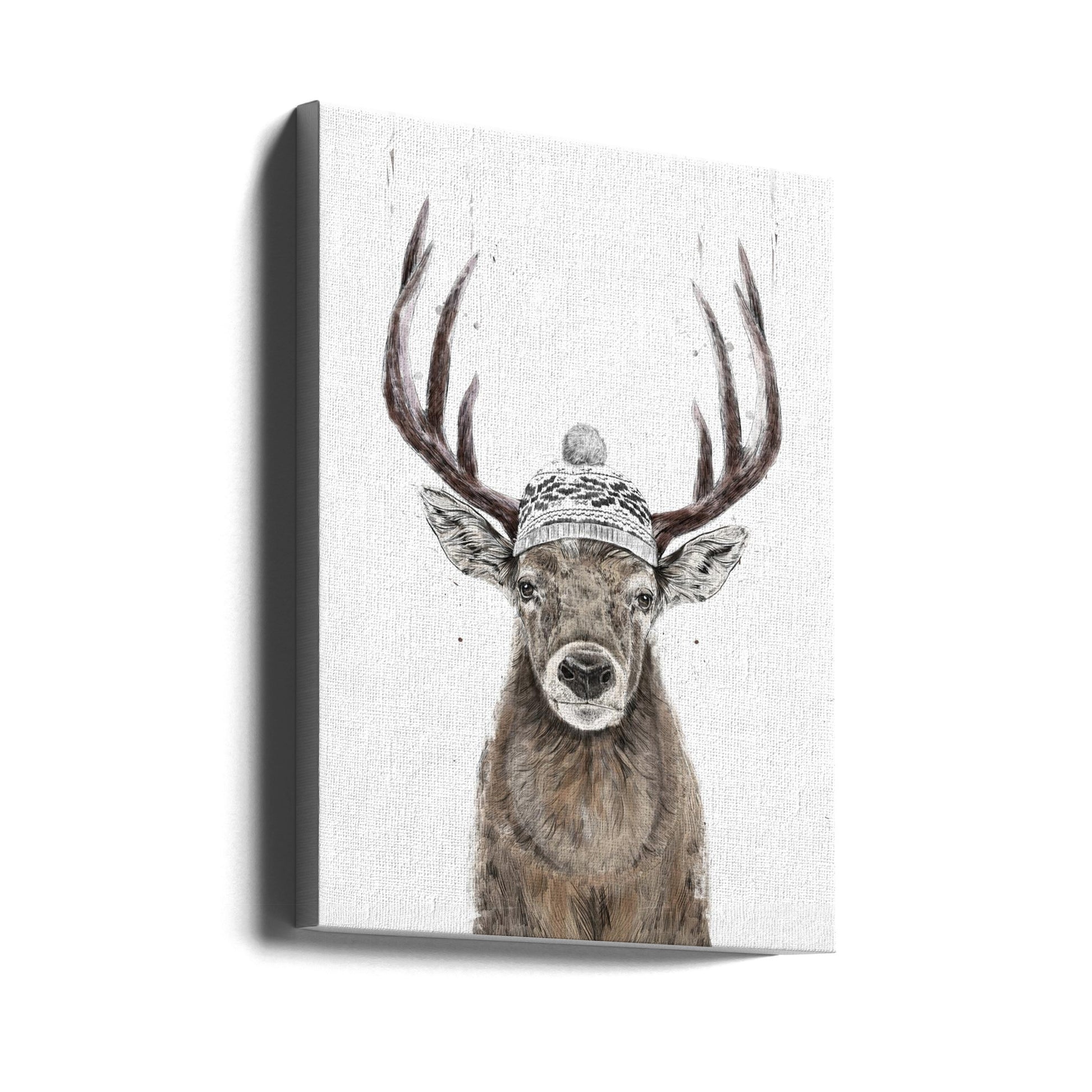 Cute Reindeer Winter by Balazs Solti | Funny Christmas Animal, Large Canvas Wall Art Print | Artsy Earth