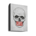 Life by Balazs Solti | Spooky Skull Drawing, Large Canvas Wall Art Print | Artsy Earth