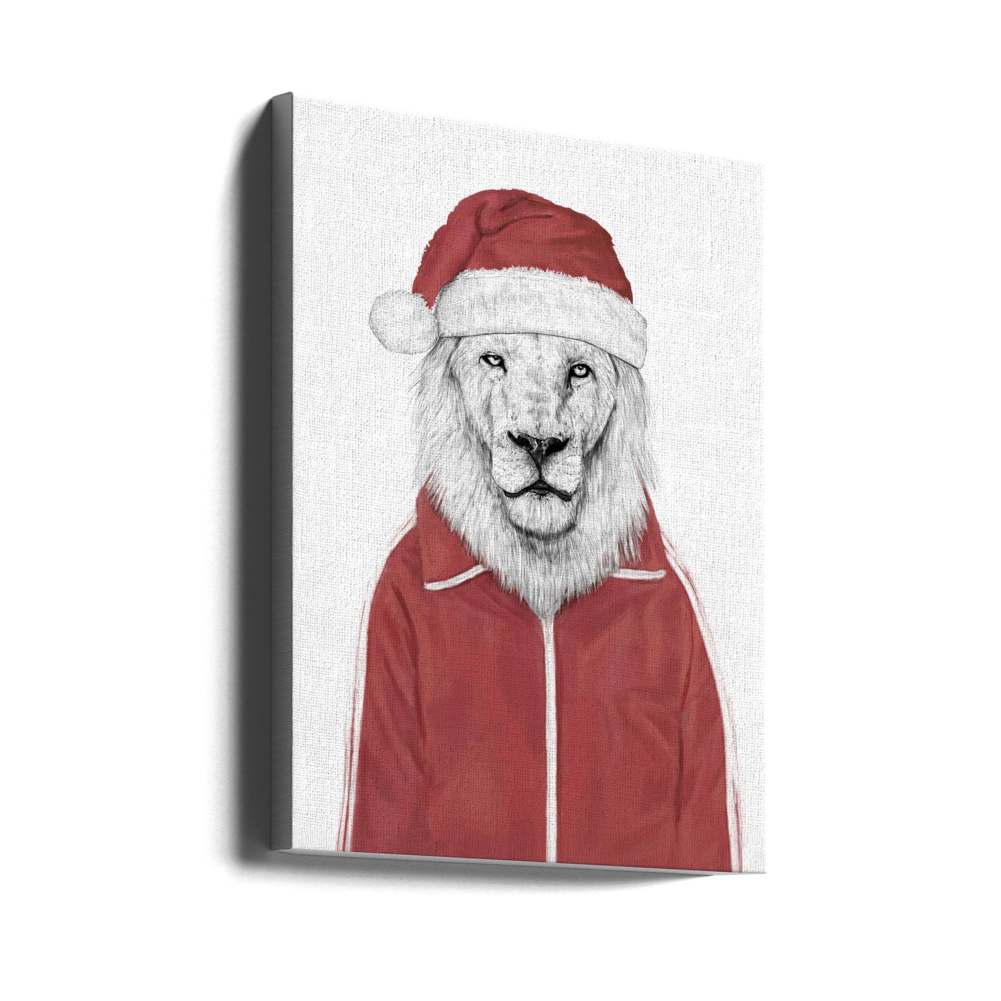 Santa Lion by Balazs Solti | Funny Christmas Animal, Large Canvas Wall Art Print | Artsy Earth