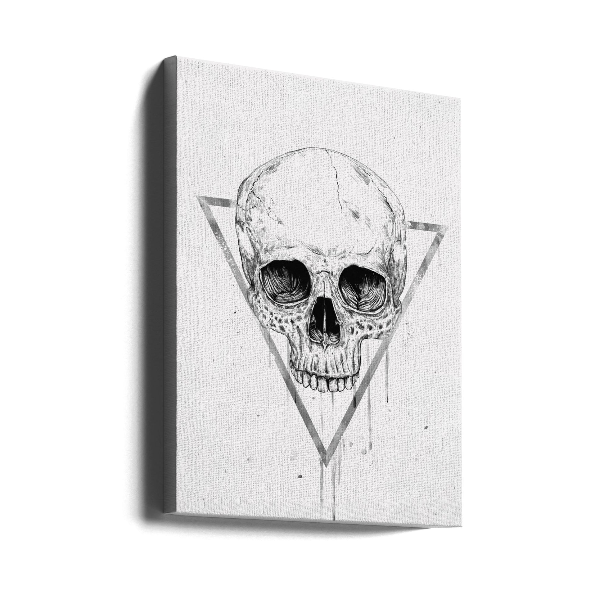 Skull in a triangle by Balazs Solti | Geometric Skull Drawing, Large Canvas Wall Art Print | Artsy Earth