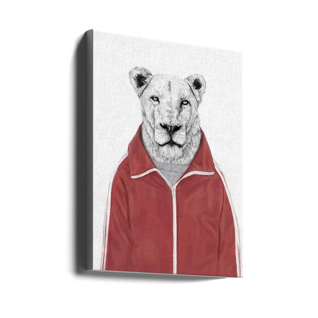 Sporty Lion by Balazs Solti | Animal Sports Illustration, Large Canvas Wall Art Print | Artsy Earth