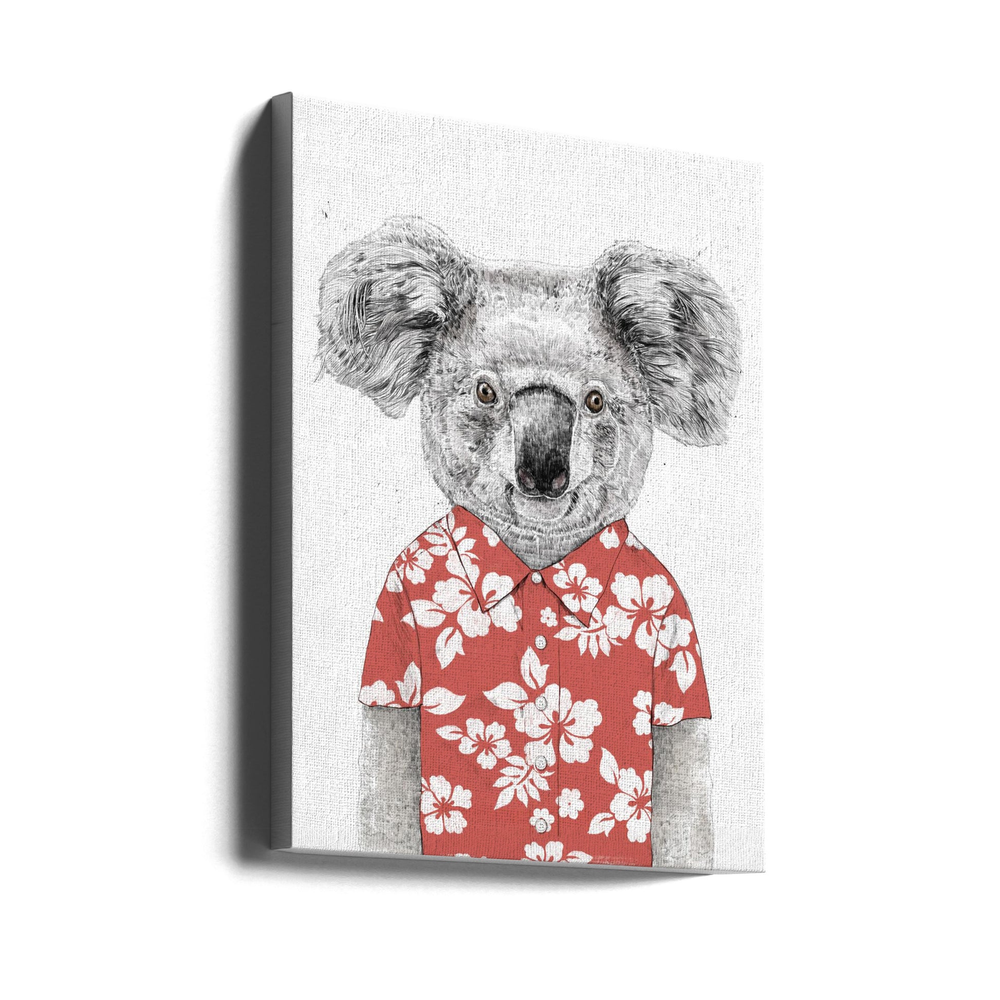 Summer Koala by Balazs Solti | Cute Animal Illustration, Large Canvas Wall Art Print | Artsy Earth