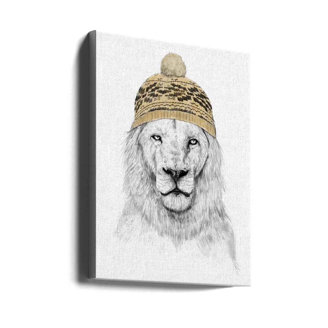 Winter Lion by Balazs Solti | Funny Animal Portrait, Large Canvas Wall Art Print | Artsy Earth