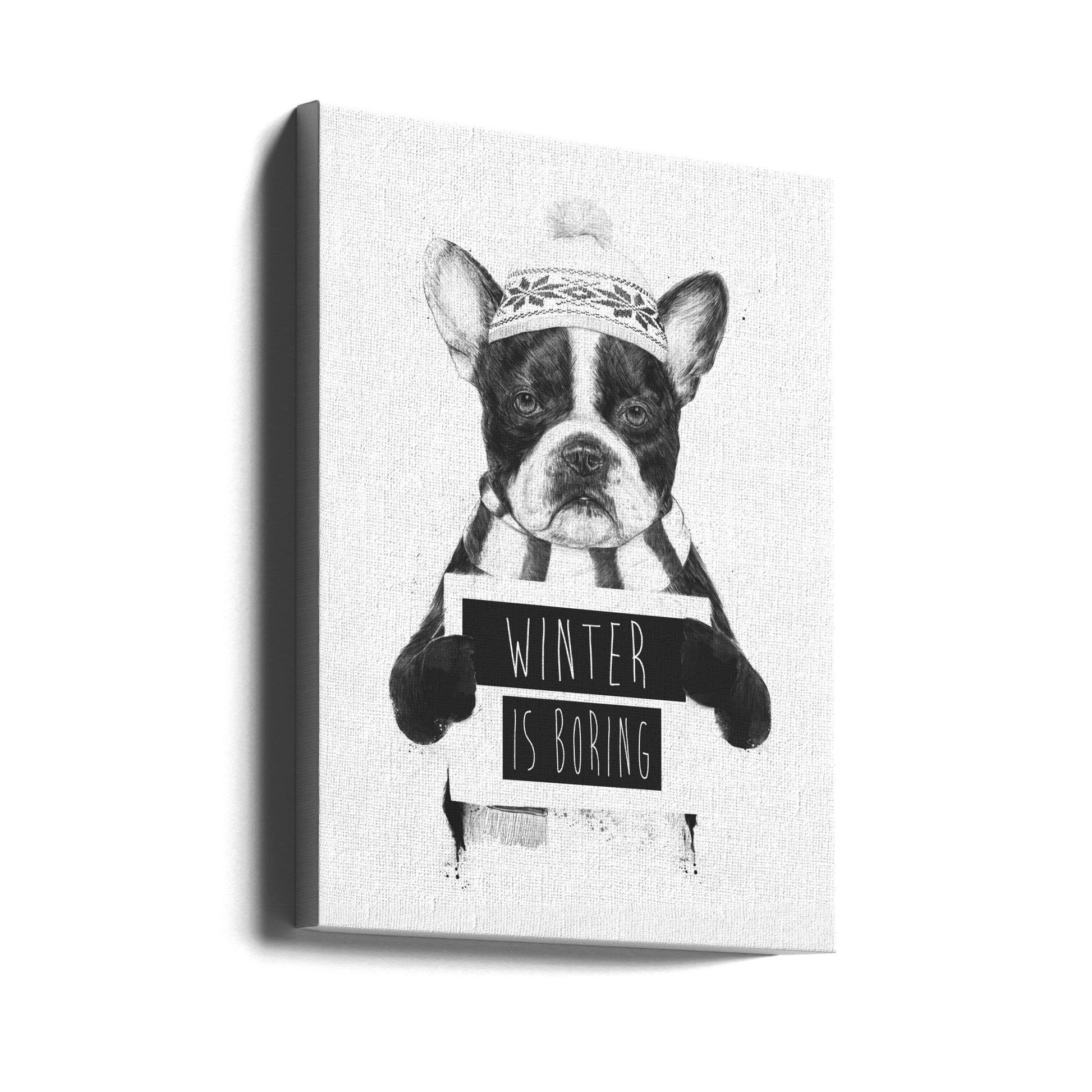 Winter is boring by Balazs Solti | Funny Animal Portrait, Large Canvas Wall Art Print | Artsy Earth