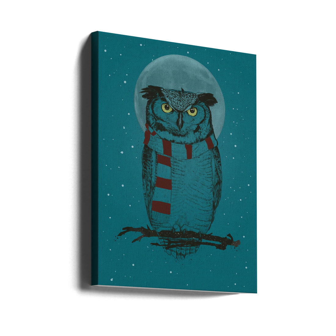 Winter Owl by Balazs Solti | Starry Night Animal, Large Canvas Wall Art Print | Artsy Earth