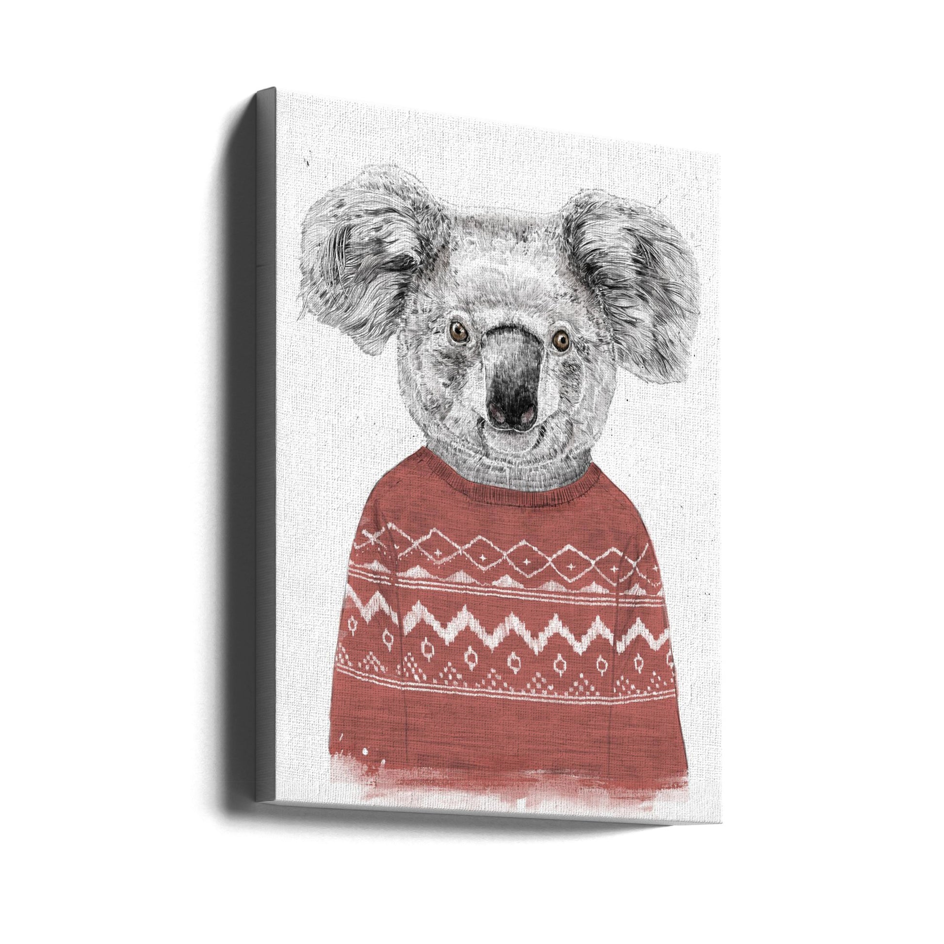 Winter Koala by Balazs Solti | Cute Animal Portrait, Large Canvas Wall Art Print | Artsy Earth