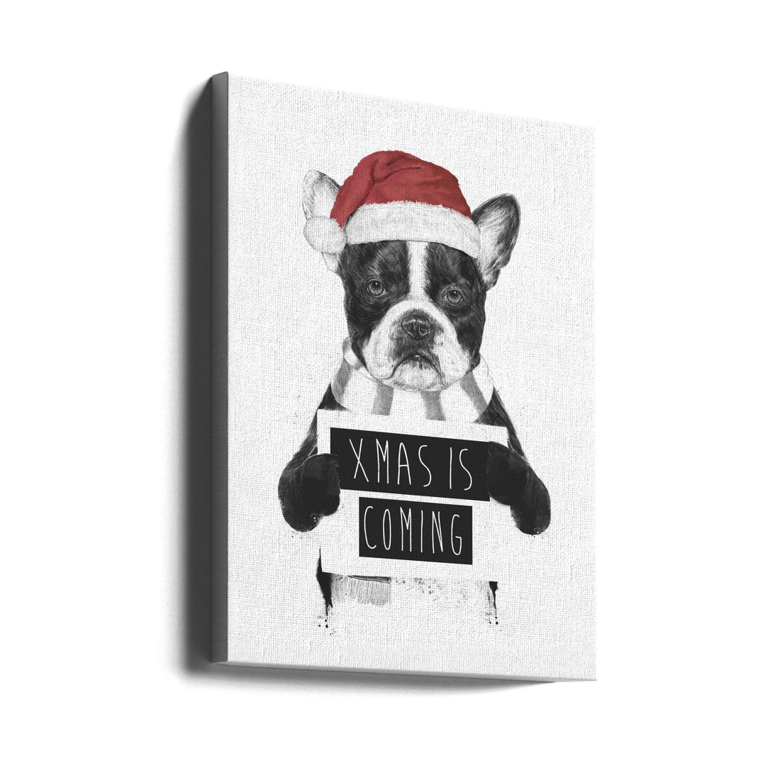 Xmas is Coming by Balazs Solti | Funny Bulldog Christmas, Large Canvas Wall Art Print | Artsy Earth