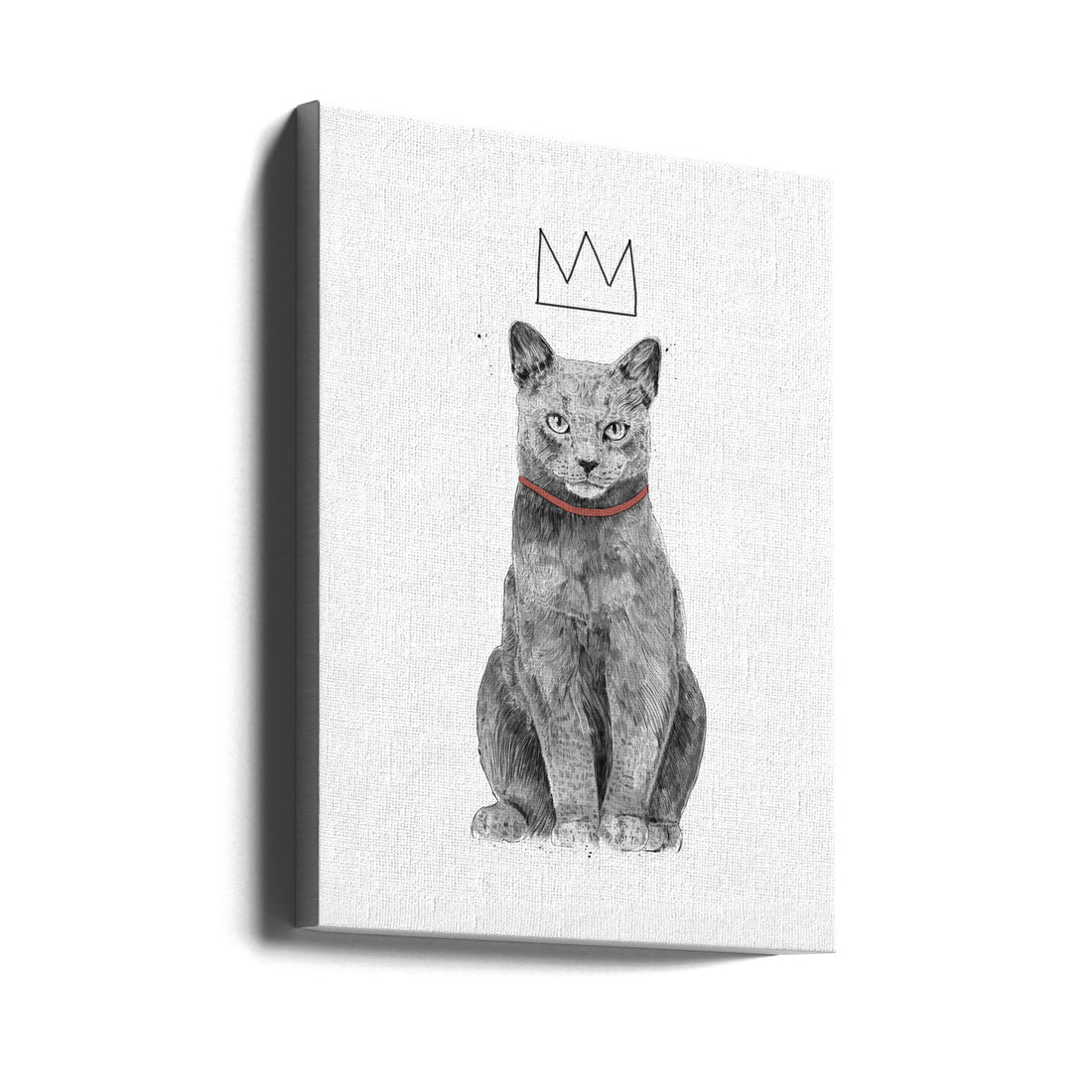 King of Everything by Balazs Solti | Funny Cat Portrait, Large Canvas Wall Art Print | Artsy Earth