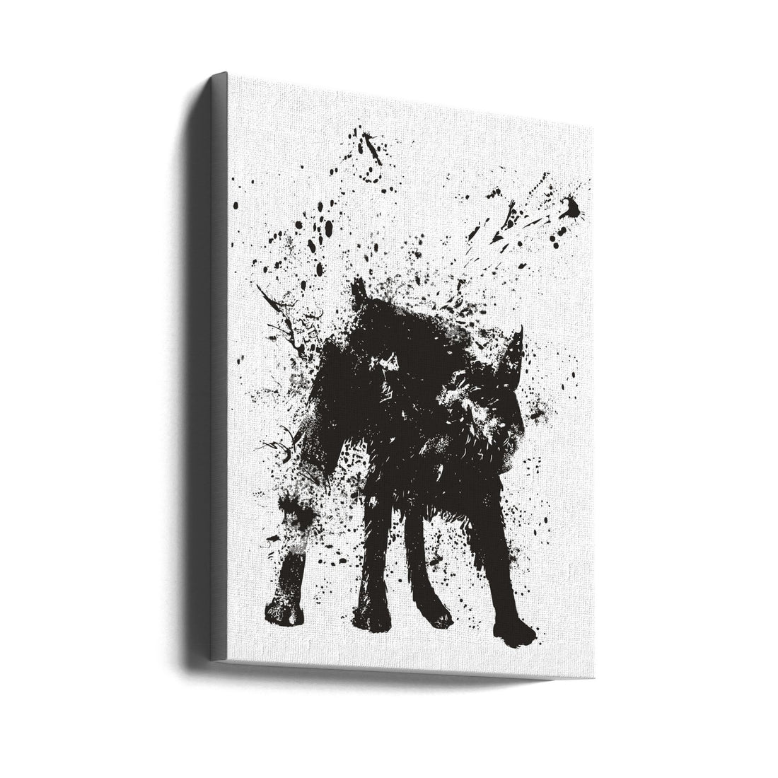 Wet Dog by Balazs Solti | Black White Animal Portrait, Large Canvas Wall Art Print | Artsy Earth