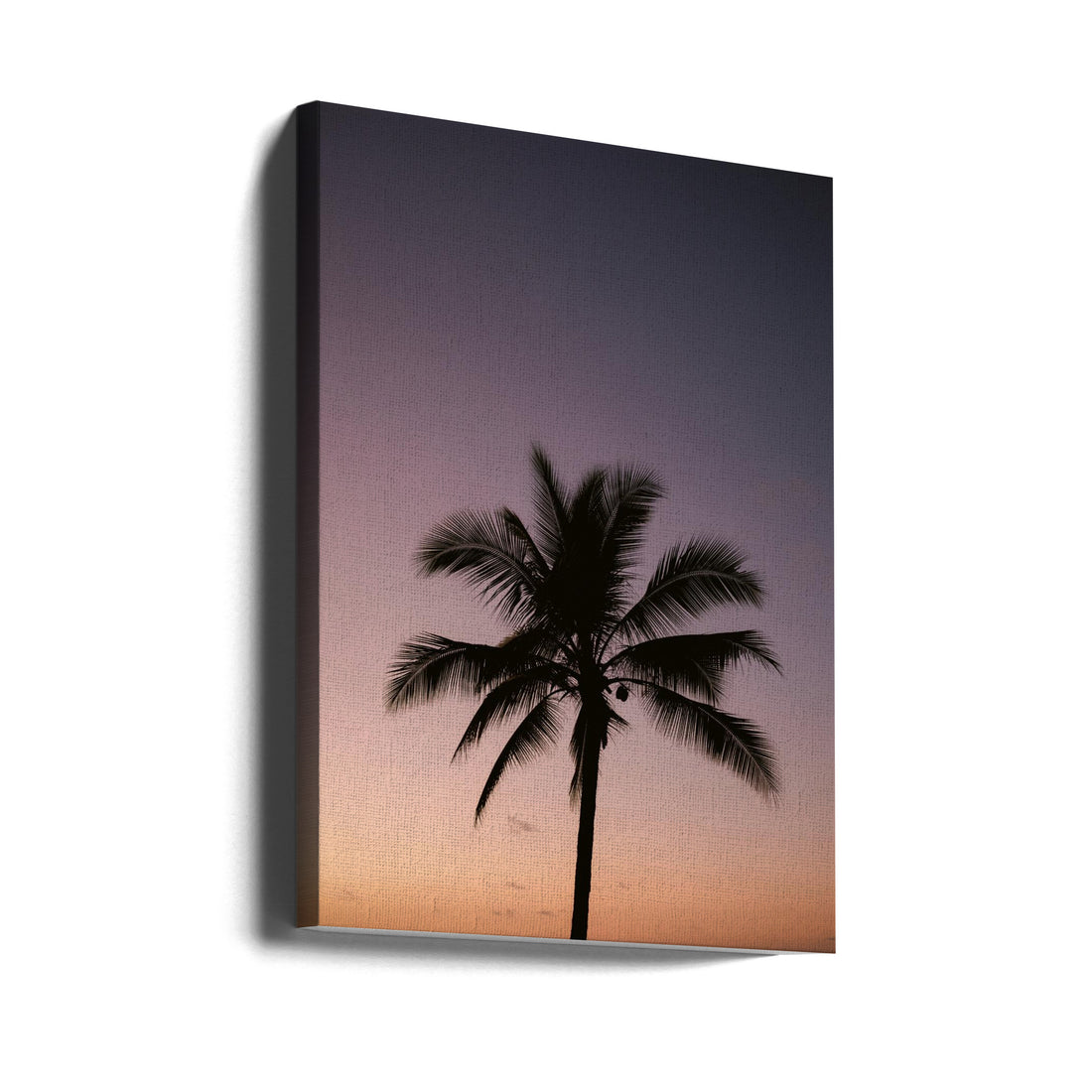 Costa Rica Palm Tree by Raisa Zwart | Tropical Beach Sunset, Large Canvas Wall Art Print | Artsy Earth