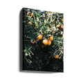 Marrakesh Oranges by Raisa Zwart | Fresh Citrus Fruit, Large Canvas Wall Art Print | Artsy Earth