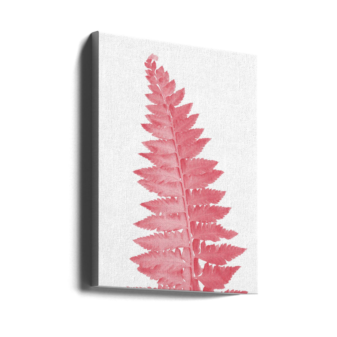 Pink Fern Leaf by Rosana Laiz Blursbyai | Botanical Studio Art, Large Canvas Wall Art Print | Artsy Earth