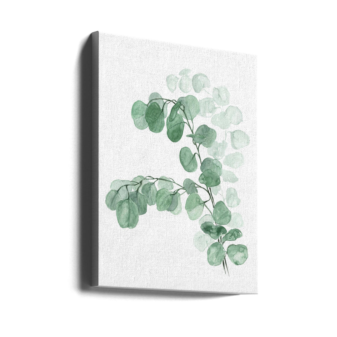 Watercolor Silver Dollar Eucalyptus by Rosana Laiz Blursbyai | Botanical Watercolor Painting, Large Canvas Wall Art Print | Artsy Earth