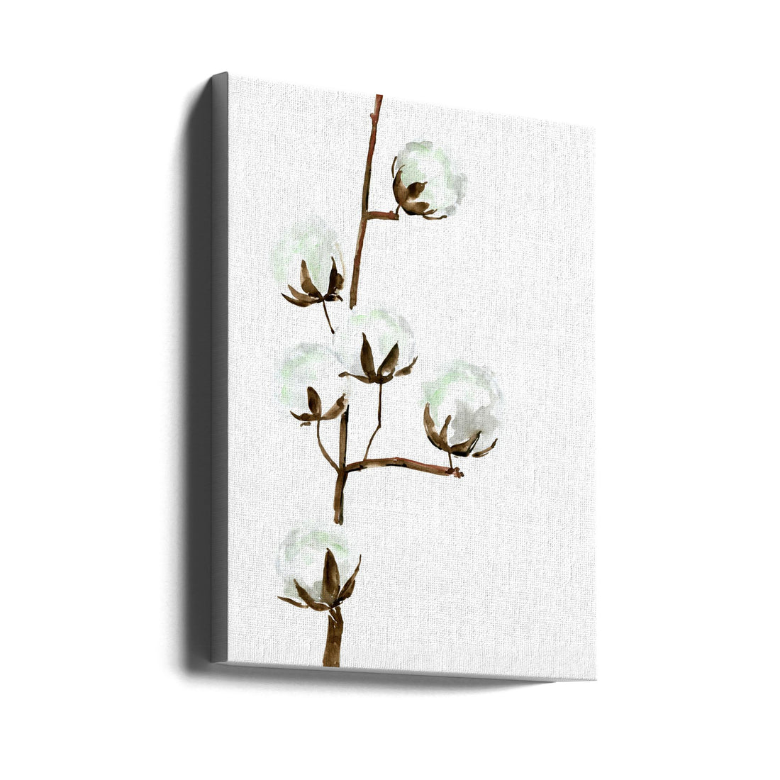 Watercolor Cotton Branch by Rosana Laiz Blursbyai | Botanical Watercolor Illustration, Large Canvas Wall Art Print | Artsy Earth