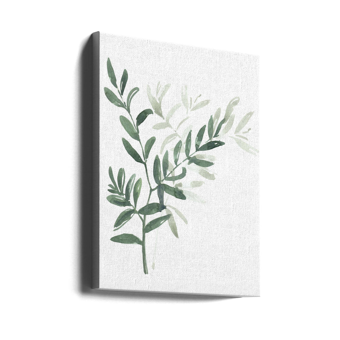 Watercolor Laurel Branch by Rosana Laiz Blursbyai | Botanical Watercolor Greenery, Large Canvas Wall Art Print | Artsy Earth