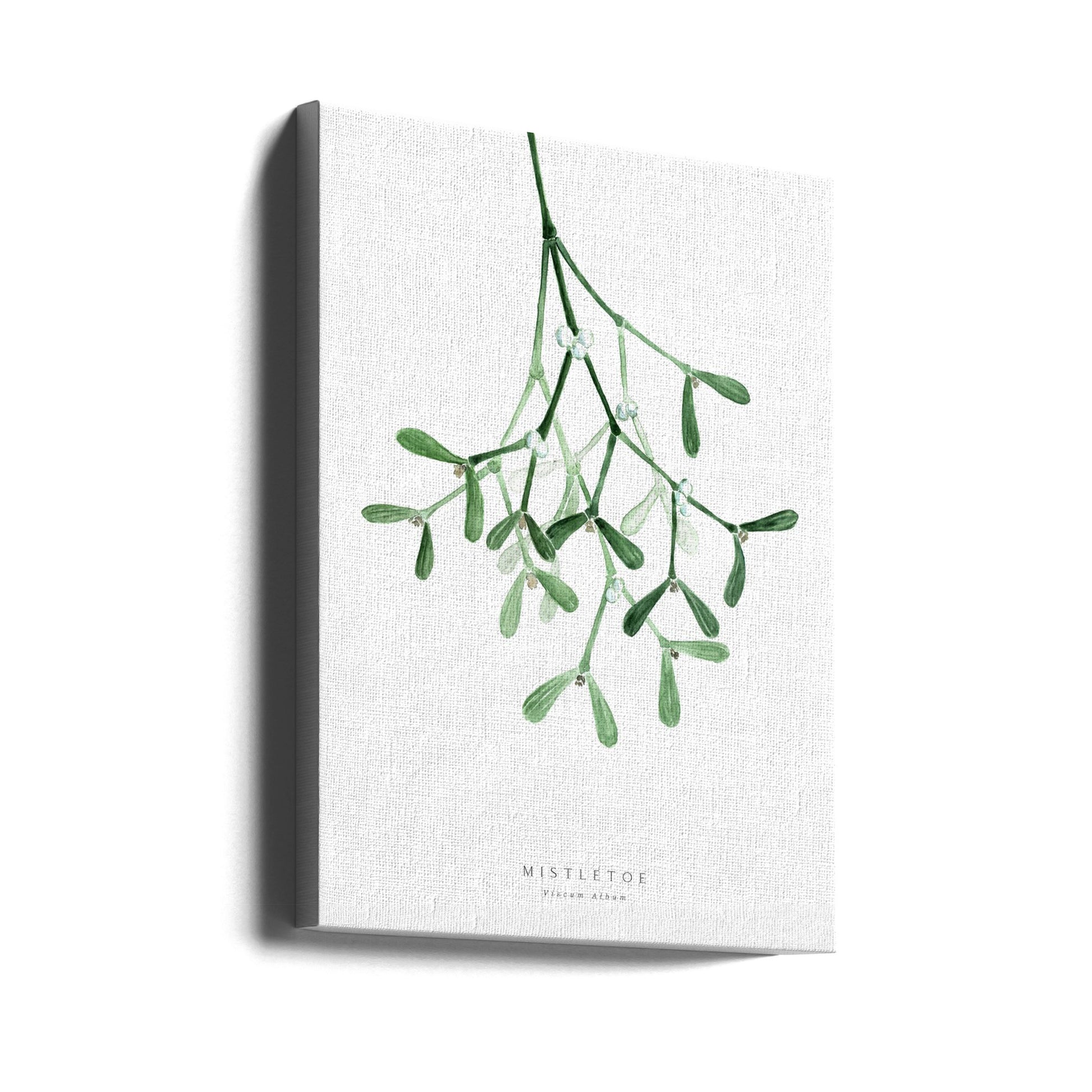 Mistletoe Magic by Rosana Laiz Blursbyai | Watercolor Mistletoe, Large Canvas Wall Art Print | Artsy Earth