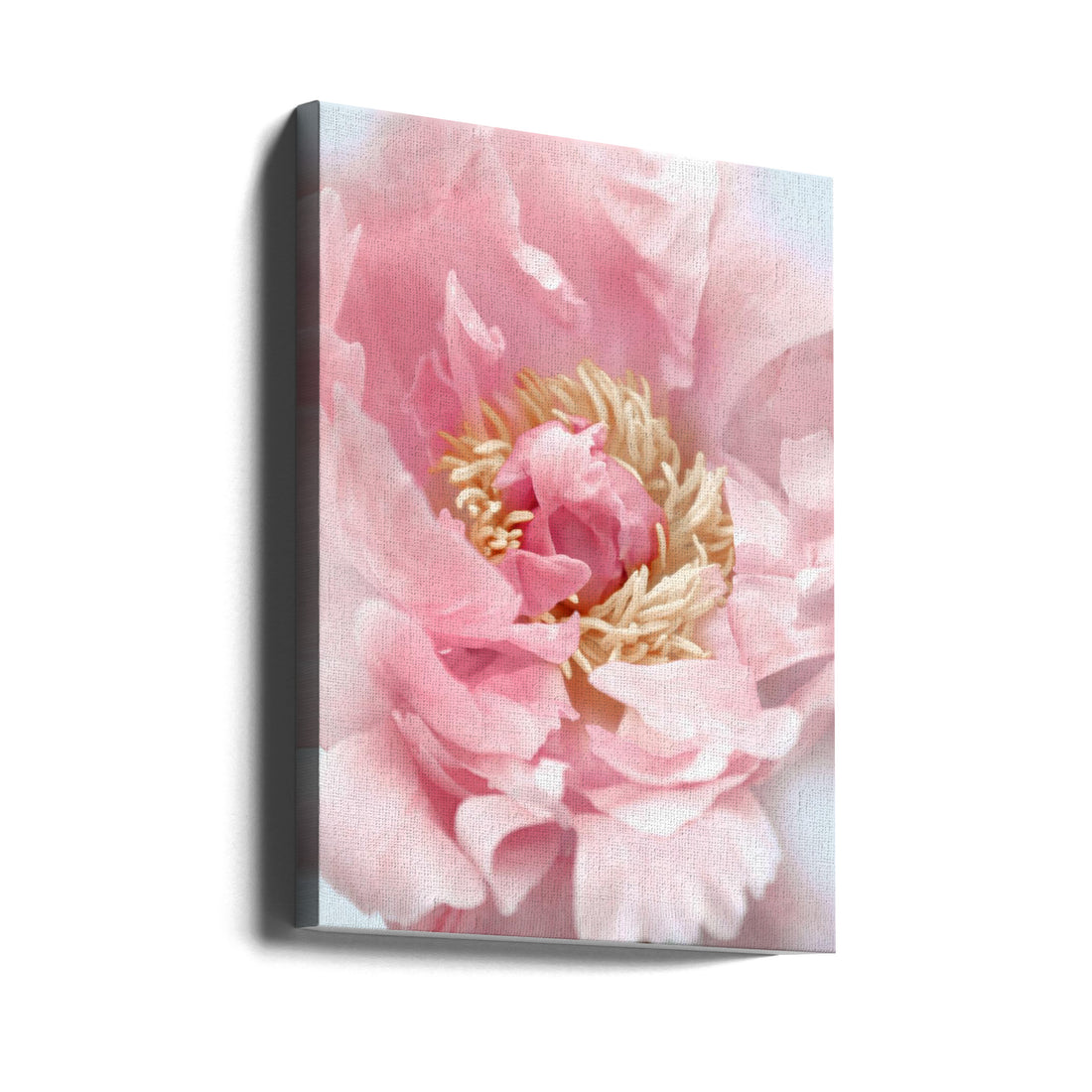 Blush Peony by Rosana Laiz Blursbyai | Pink Floral Botanical, Large Canvas Wall Art Print | Artsy Earth