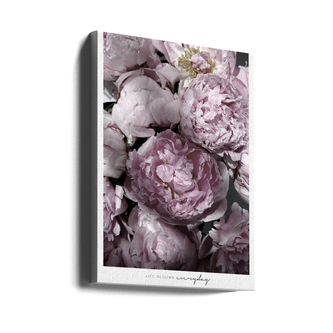 Life Blooms Everyday by Rosana Laiz Blursbyai | Pink Peony Botanical, Large Canvas Wall Art Print | Artsy Earth