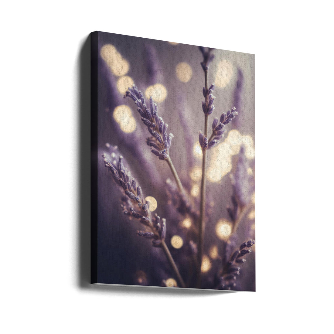 Lavender Detail by Treechild | Botanical Macro Flora, Large Canvas Wall Art Print | Artsy Earth