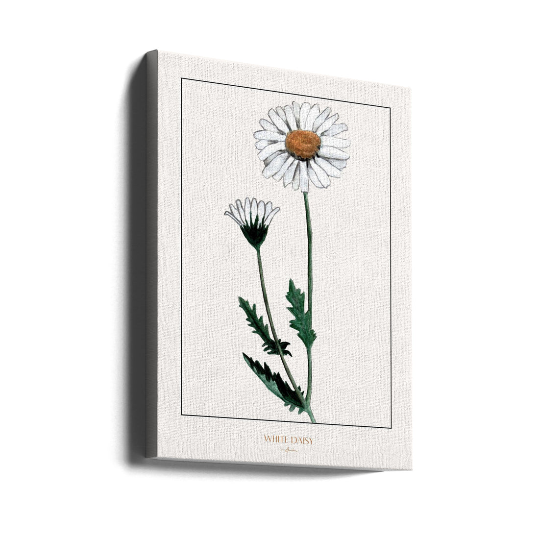 White Daisy by Annika John | Botanical Watercolor Painting, Large Canvas Wall Art Print | Artsy Earth