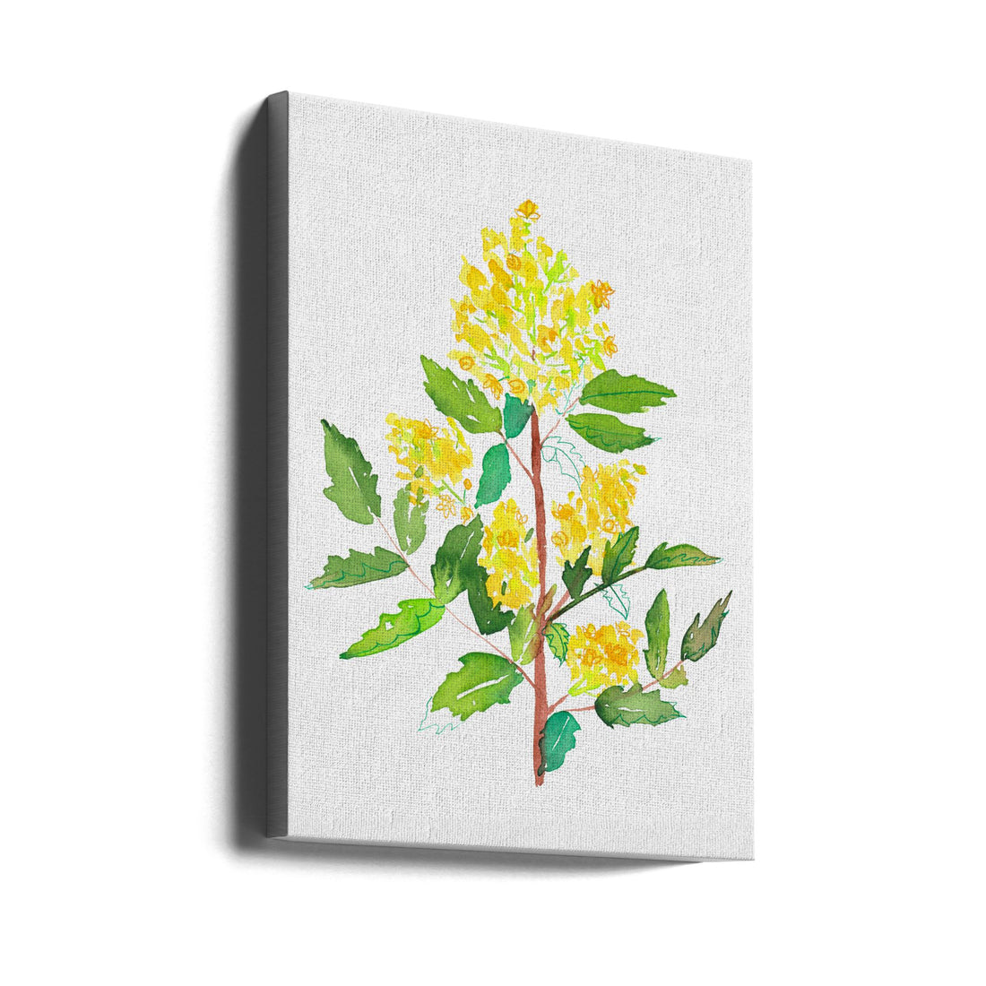 Oregon Grape Botanical by Kata Botanical | Watercolor Floral Illustration, Large Canvas Wall Art Print | Artsy Earth