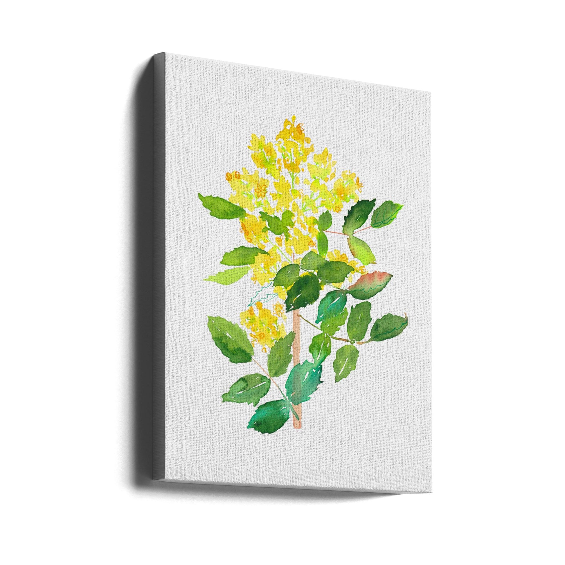 Oregon Grape Botanical by Kata Botanical | Watercolor Floral Illustration, Large Canvas Wall Art Print | Artsy Earth