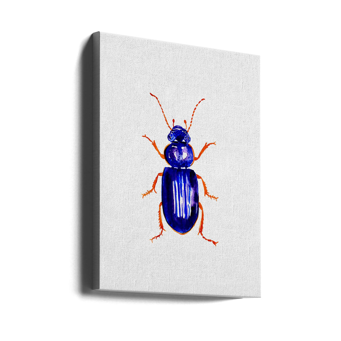 Watercolor Beetle Art by Kata Botanical | Colorful Insect Illustration, Large Canvas Wall Art Print | Artsy Earth