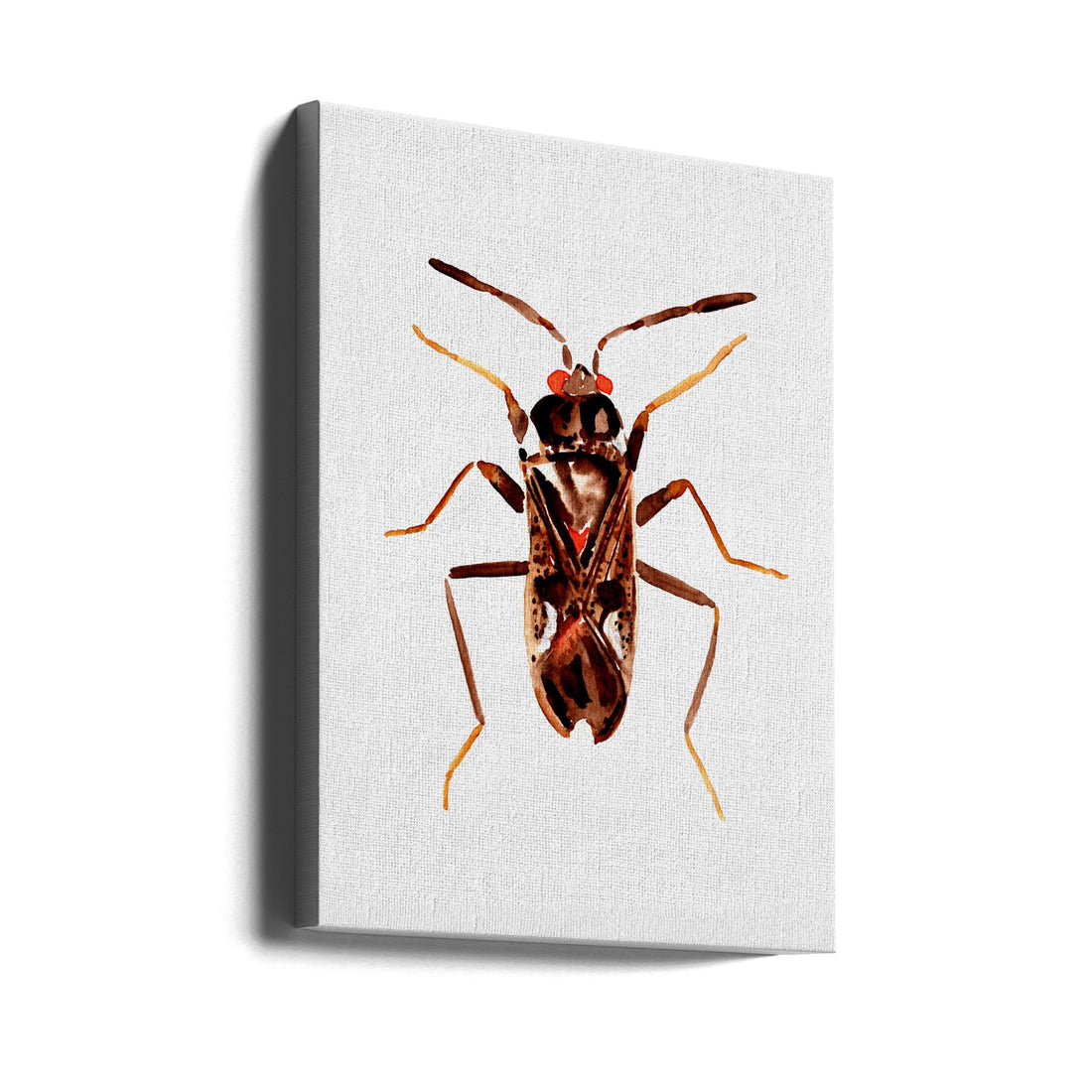 Dirt-colored Seed Bug by Kata Botanical | Watercolor Insect Illustration, Large Canvas Wall Art Print | Artsy Earth