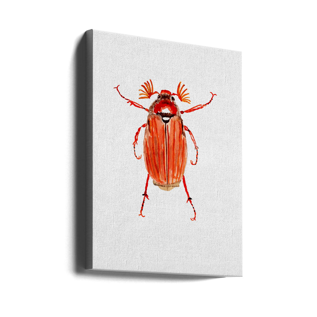 Forest Cockchafer by Kata Botanical | Watercolor Beetle Illustration, Large Canvas Wall Art Print | Artsy Earth