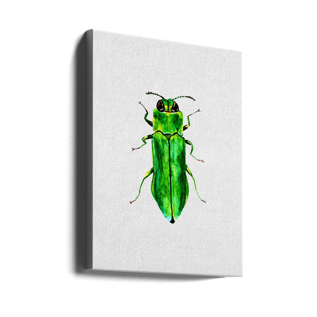 Jewel Beetle Watercolor by Kata Botanical | Colorful Insect Illustration, Large Canvas Wall Art Print | Artsy Earth