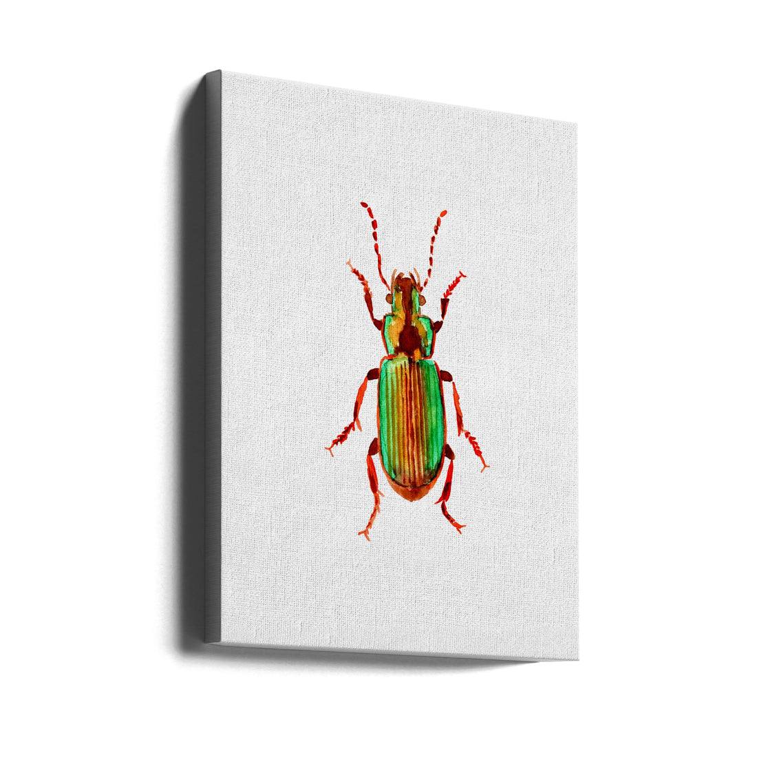 Ground Beetle Watercolor by Kata Botanical | Insect Watercolor Illustration, Large Canvas Wall Art Print | Artsy Earth