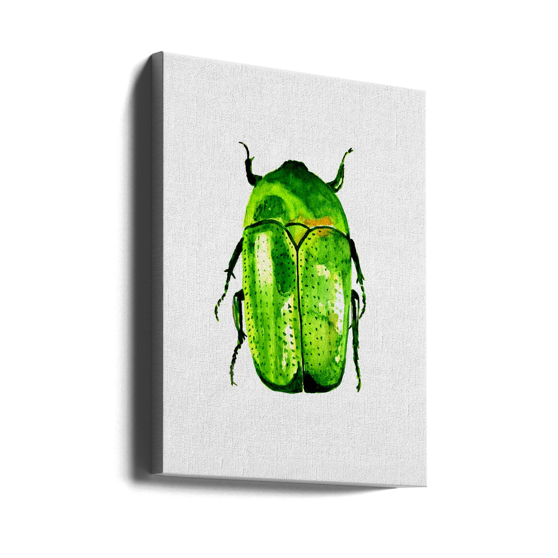 Green June Beetle by Kata Botanical | Watercolor Insect Illustration, Large Canvas Wall Art Print | Artsy Earth