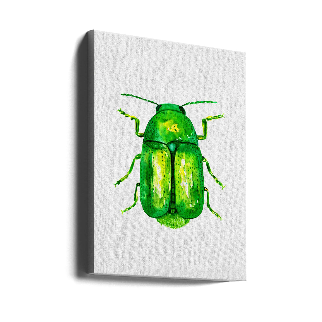 Cylindrical Leaf Beetle by Kata Botanical | Watercolor Insect Illustration, Large Canvas Wall Art Print | Artsy Earth